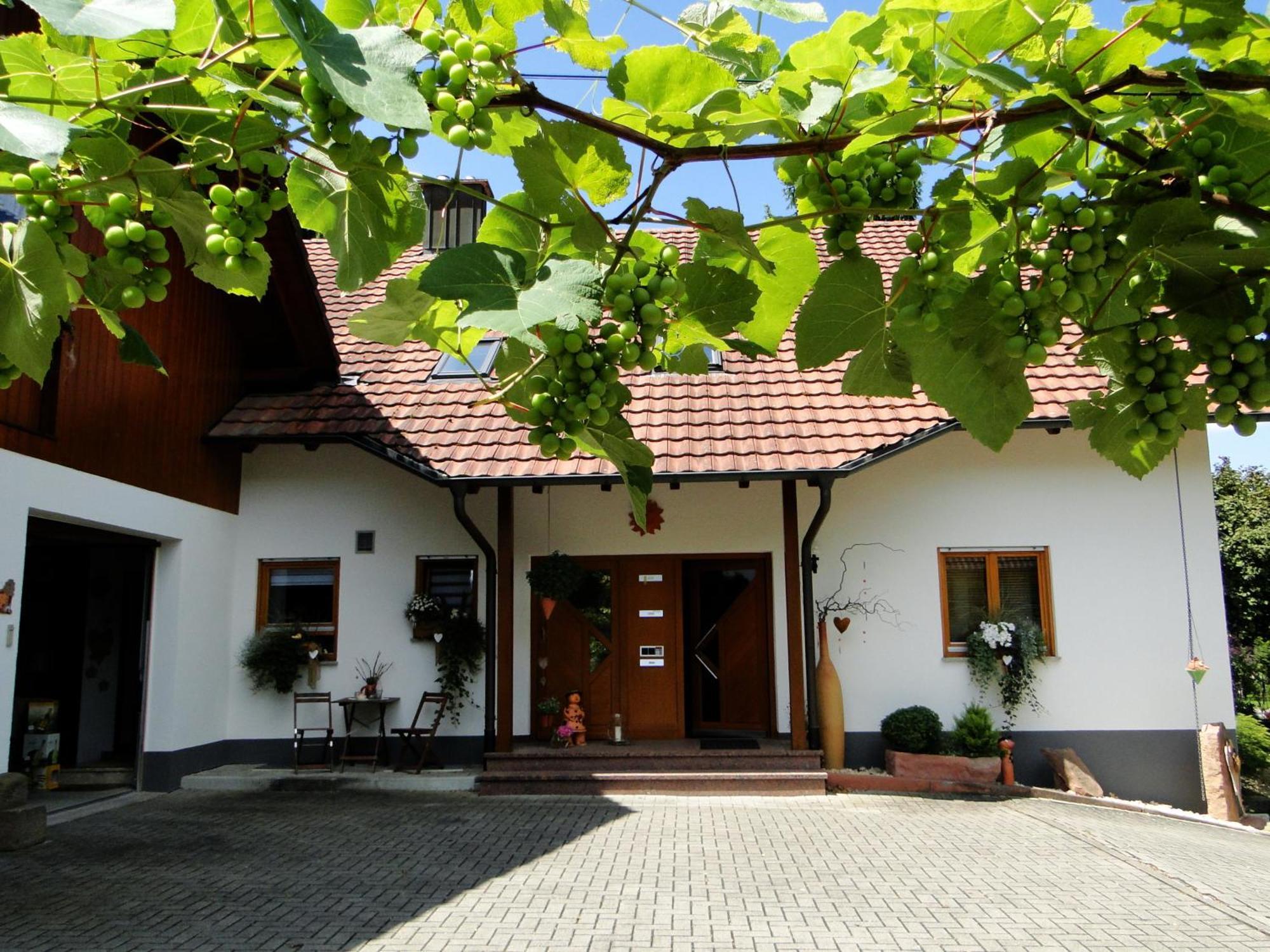 Ferienwohnung Hotte'S Huette Ettenheim Zewnętrze zdjęcie